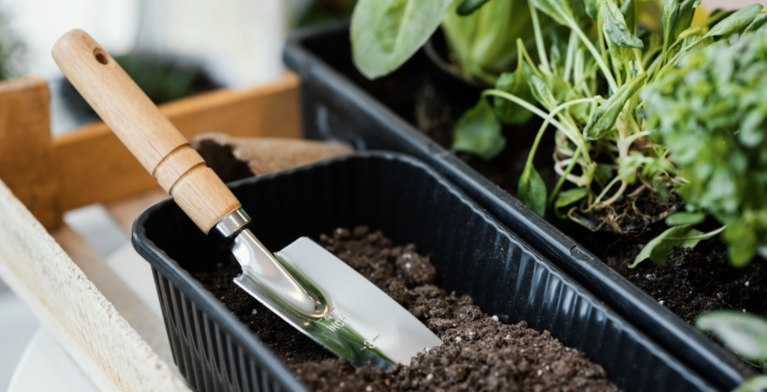 pala_jardineria_inox