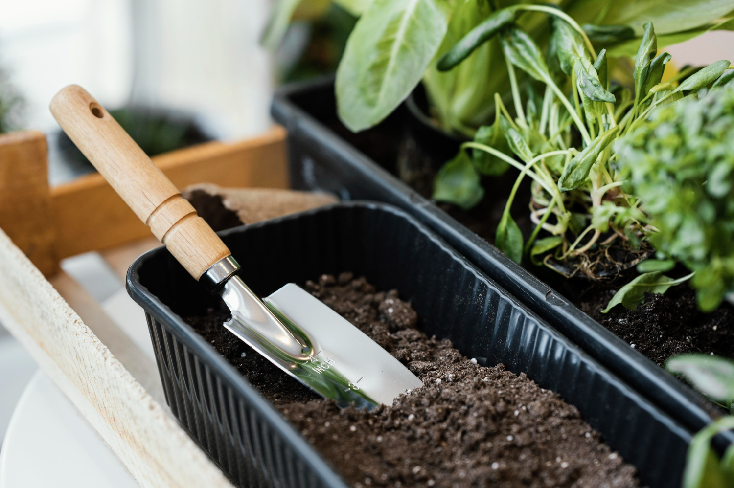pala_jardineria_inox